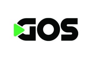 Gos Serviços & Projetos
