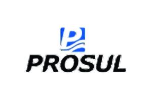 Prosul